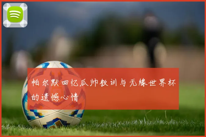 帕尔默回忆瓜帅教训与无缘世界杯的遗憾心情